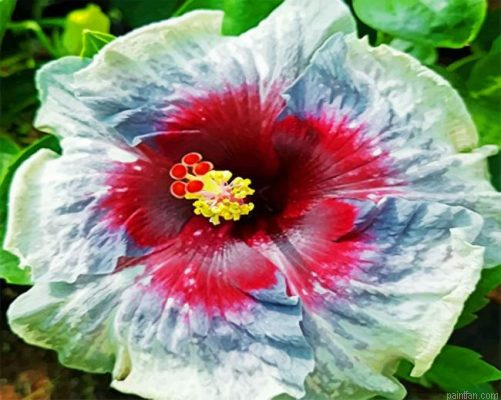 Aesthetic Hibiscus Flower Paint By Number.png