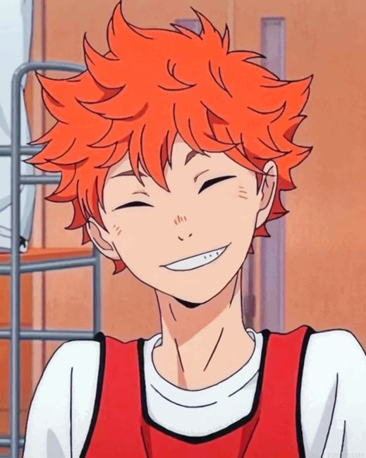 Aesthetic Hinata Shoyo Animes Paint By Numbers.png