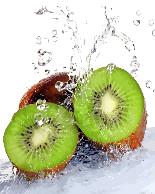 Aesthetic Kiwi Paint By Number.png