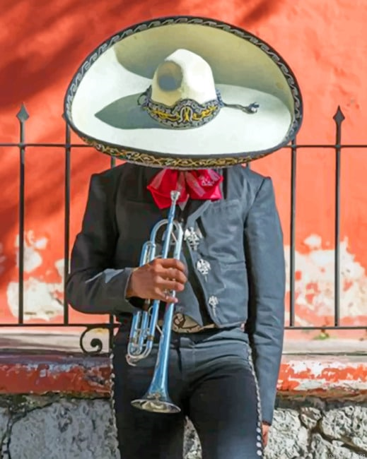 Aesthetic Latino Man Paint By Numbers.png