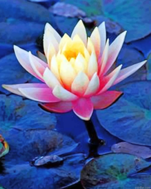 Aesthetic Lotus Lotus Paint By Numbers.png