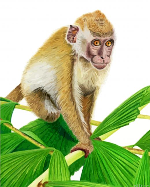 Aesthetic Macaque Paint By Number.png