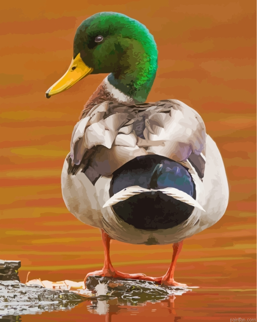 Aesthetic Mallard Paint By Number.png