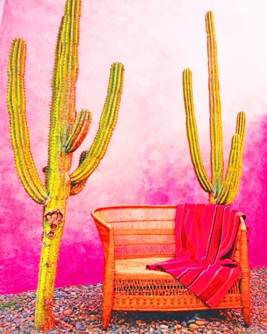 Aesthetic Mexican Pink Wall New Paint By Numbers.png
