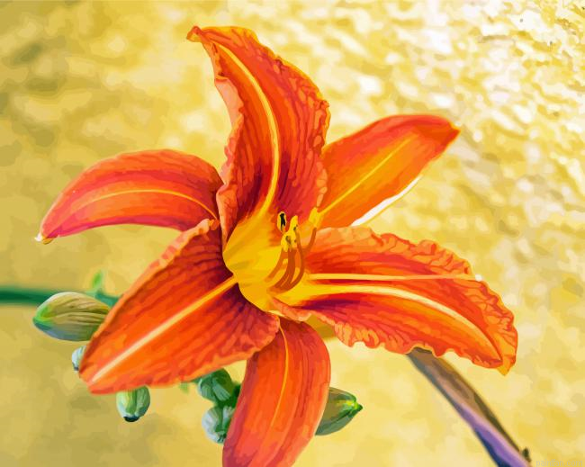 Aesthetic Orange Hibiscus Paint By Numbers.png