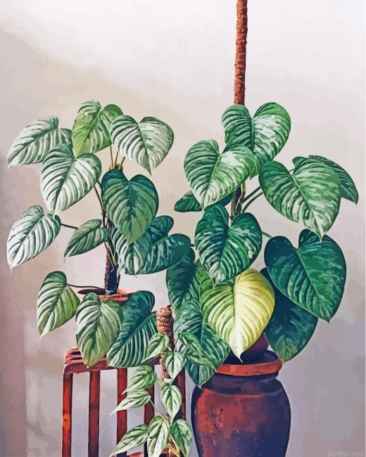 Aesthetic Philodendron Paint By Number.png