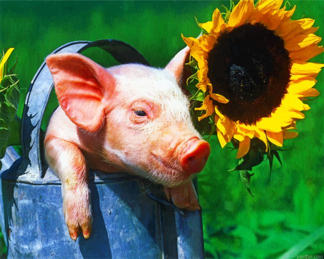Aesthetic Pig And Sunflower Paint By Number.png