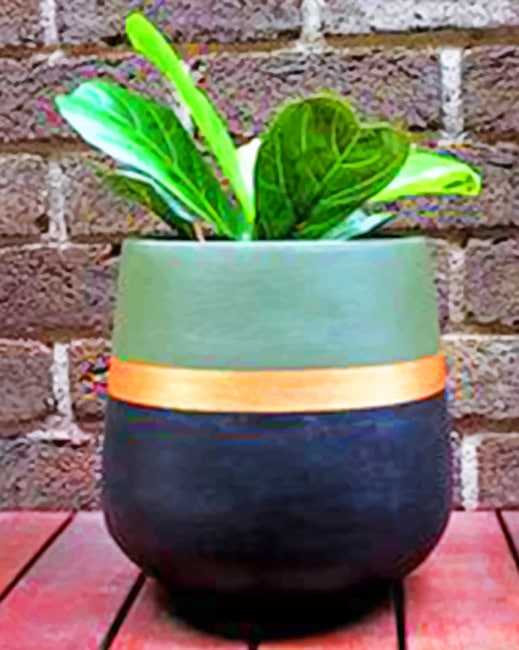 Aesthetic Plant Decors Paint By Numbers.png