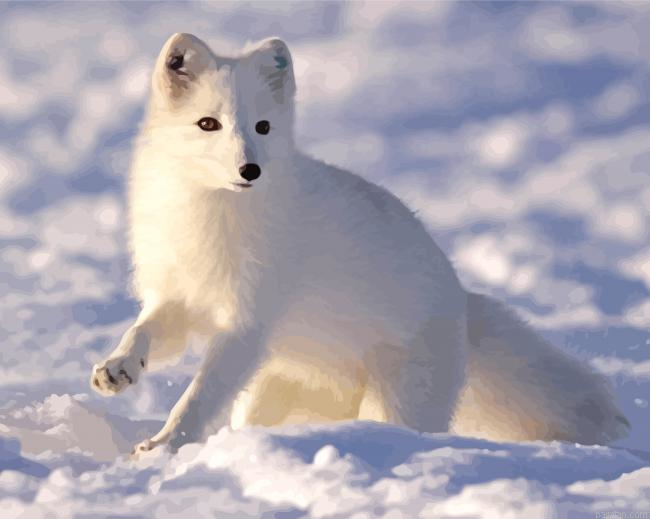 Aesthetic Polar Fox Animal Paint By Numbers.png