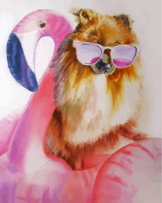 Aesthetic Pomeranian Paint By Number.png