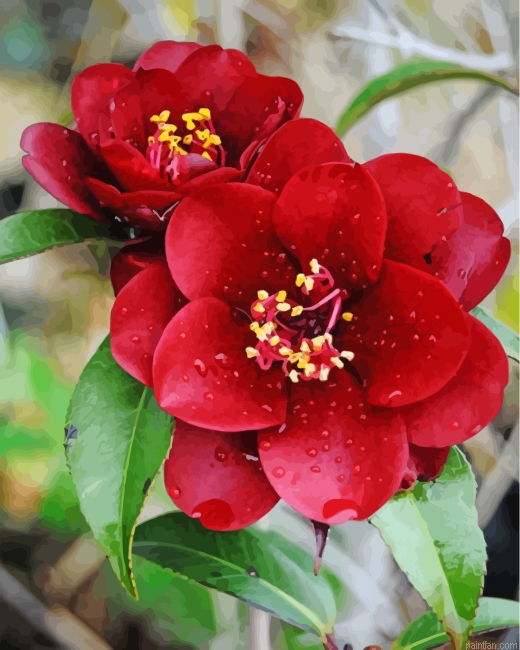 Aesthetic Red Camellia Paint By Number.png