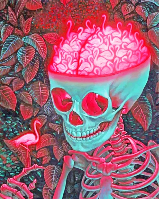 Aesthetic Skull Paint By Numbers.png
