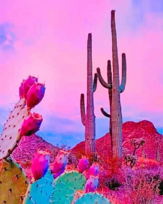 Aesthetic Sky Cactus New Paint By Numbers.png