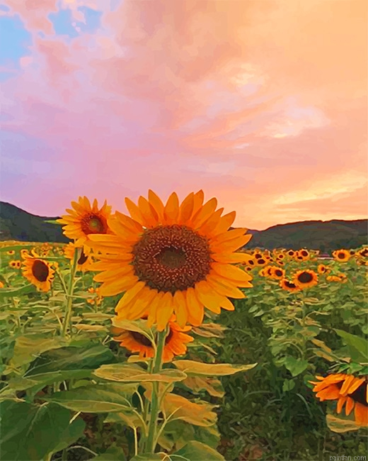 Aesthetic Sunflowers New Paint By Numbers.png
