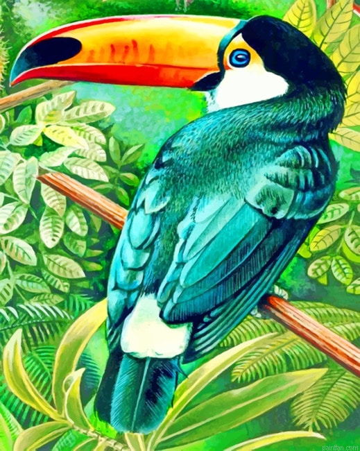Aesthetic Toucans Birds Paint By Numbers.png