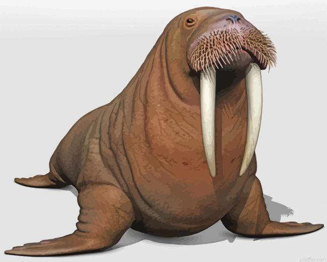 Aesthetic Walrus Paint By Numbers.png