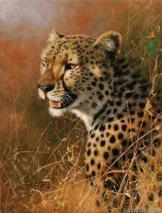 African Cheetah Paint By Numbers.png