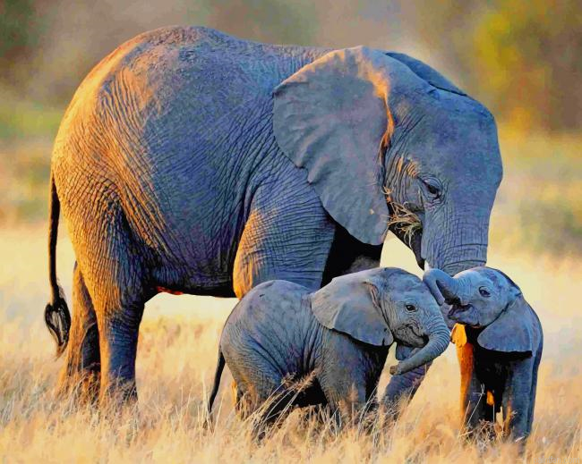 African Elephants New Paint By Numbers.png