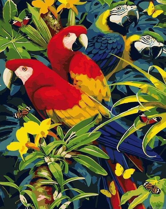 African Parrots Paint By Numbers.png