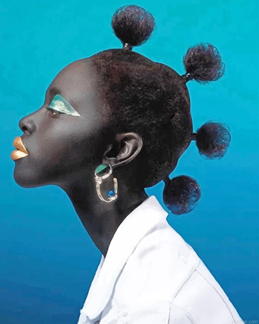 African Stylish Hair New Paint By Numbers.png