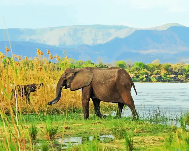 African Zambezi Paint By Numbers.png