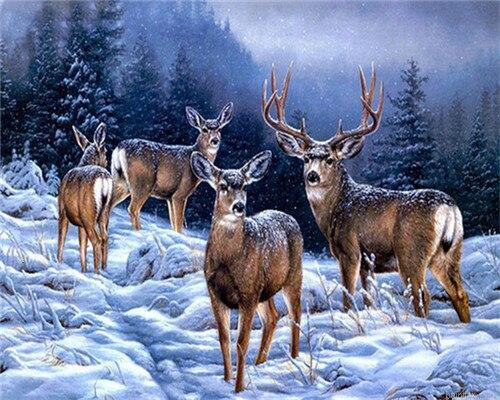 Alaska Deers Paint By Numbers.png