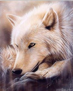 Alaskan Wolf Paint By Numbers.png