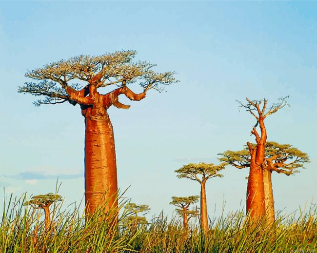Alley Of The Baobabs Madagascar Paint By Number.png