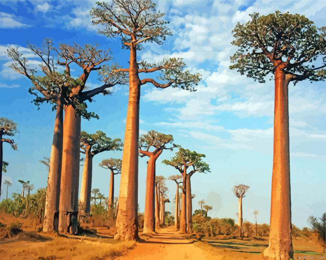 Alley Of The Baobabs Paint By Number.png