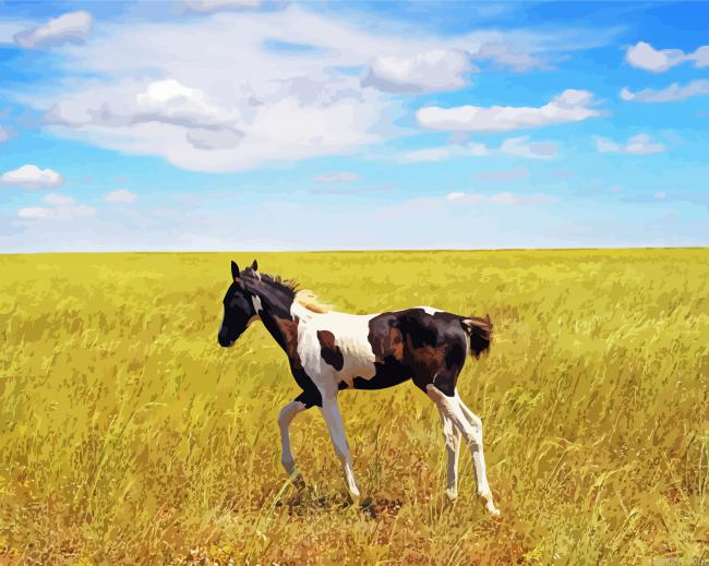 Alone Horse Foal Paint By Numbers.png