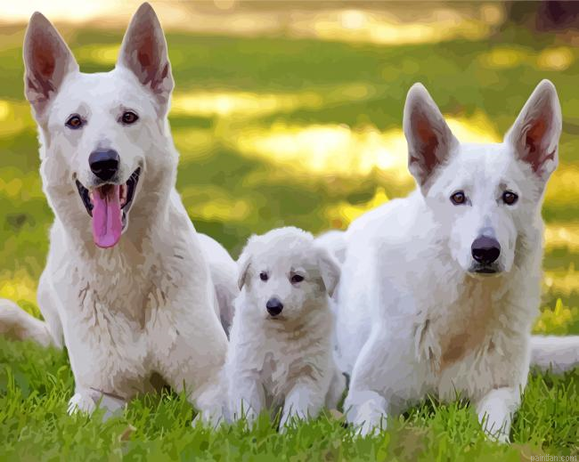 Alsation White German Family Paint By Number.png