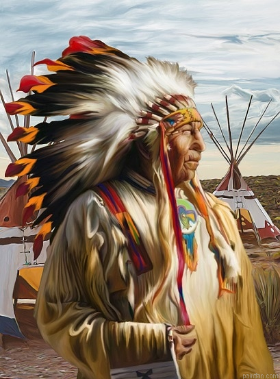 American Indian Man Paint By Numbers.png
