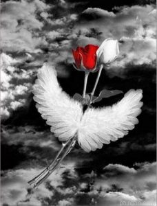 Angel Wings Paint By Numbers.png