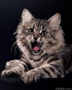 Angry Cat Paint By Numbers.png