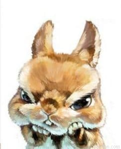 Angry Rabbit Paint By Numbers.png