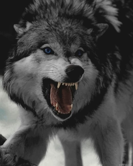 Angry Wolf New Paint By Numbers.png