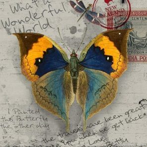 Antique Butterfly Paint By Numbers.png