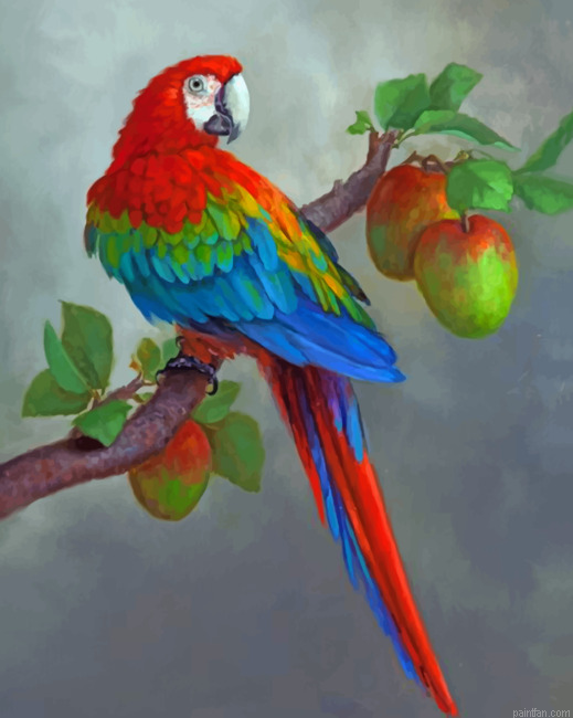 Apples And Parrot Paint By Numbers.png