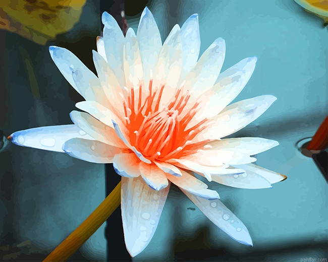 Aquatic Plant New Paint By Numbers.png