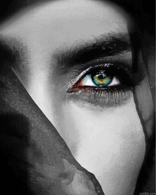 Arab Woman Paint By Number.png