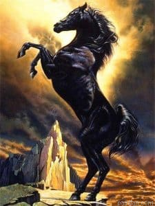 Arabian Horse Paint By Numbers.png