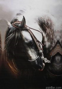 Arabic Horse Paint By Numbers.png