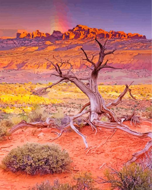 Arches National Park Desert Paint By Number.png