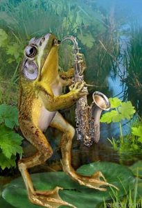 Artist Frog Paint By Numbers.png