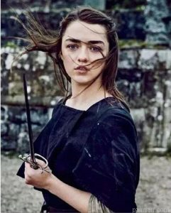 Arya Stark Paint By Numbers.png