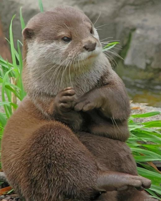 Asian Small Otter Paint By Number.png