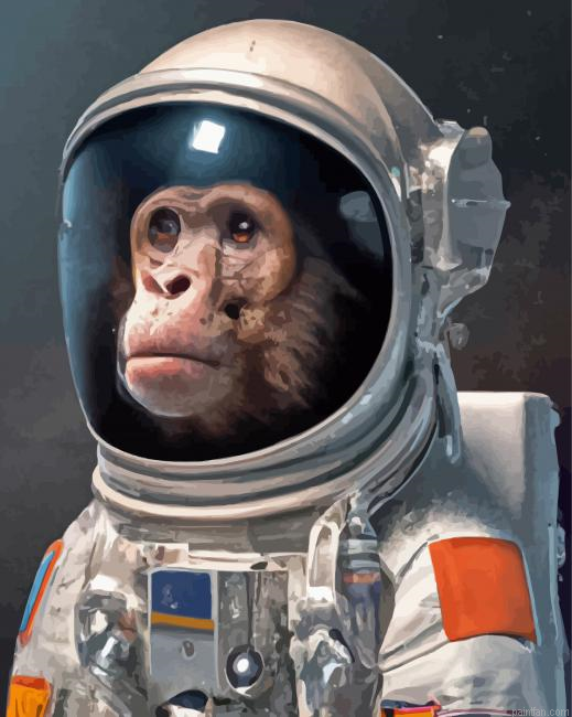 Astronaut Chimp Paint By Numbers.png
