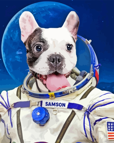 Astronaut Dog Paint By Numbers.png