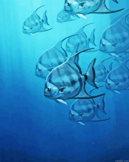 Atlantic Spadefish Paint By Numbers.png