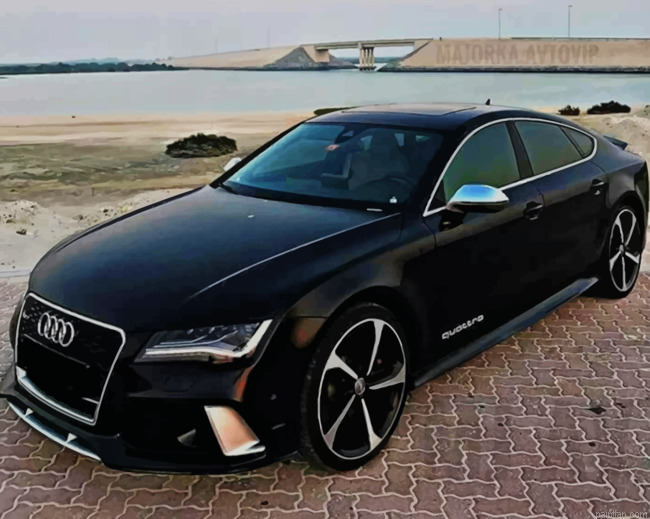 Audi Sport Car Paint By Numbers.png